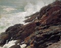 High Cliff Coast of Maine Realism painter Winslow Homer